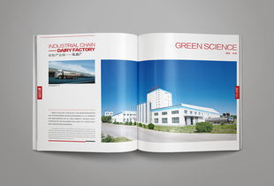 集團畫冊整合設計 企業形象畫冊設計 洛娃集團畫冊設計
