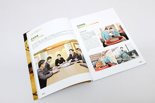 企業(yè)形象產(chǎn)品畫(huà)冊(cè)規(guī)劃設(shè)計(jì)
